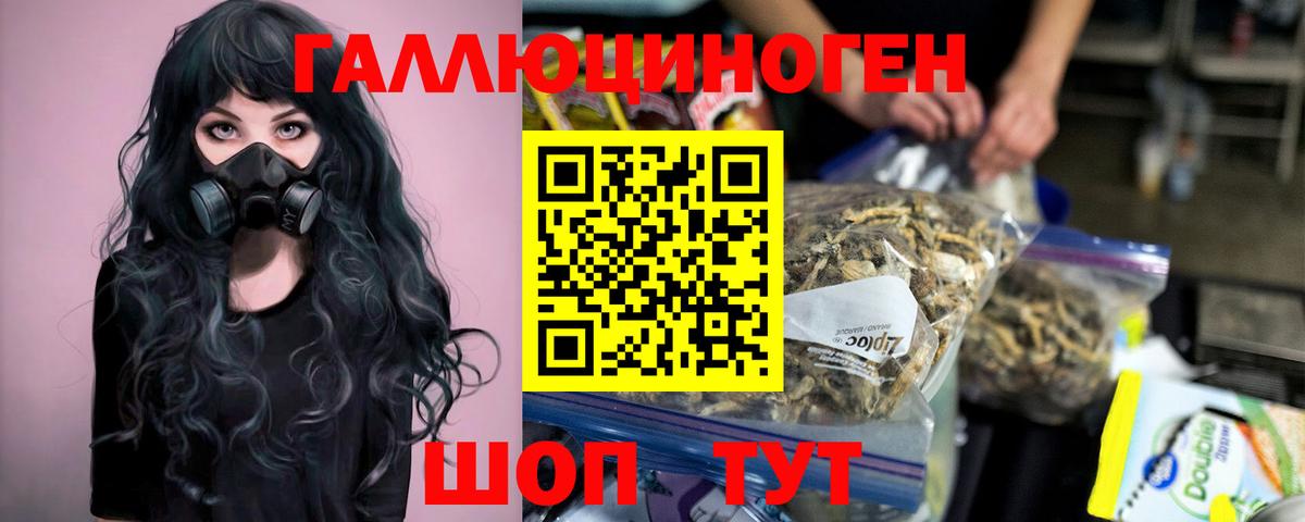 Пугачёв  Галлюциногенные грибы Magic Shrooms  Вход с VPN  Галлюциногенные грибы MAGIC MUSHROOMS 